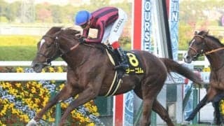 【中日新聞杯ハンデ確定】ラーゴムは56.0kg、ボッケリーニは57.5kg