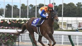 シニスターミニスター産駒のテーオーケインズ　来年は中距離ダート戦線の中心に