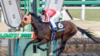 【師走Sハンデ確定】アメリカンシードは56.0kg、メイショウムラクモは55.0kg