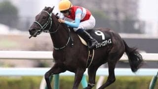 【阪神JF】割れる人気の阪神JFで狙える穴馬はこれだ！/JRA重賞レース展望