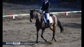 現体制最後の試合　接戦となるも惜しくも準優勝