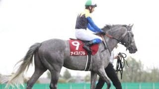 【中日新聞杯展望】近年は凡走からの変わり身が多い一戦、あの穴馬に期待