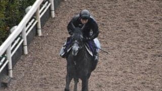 クロノジェネシスなど、先週の入厩情報/栗東トレセンニュース