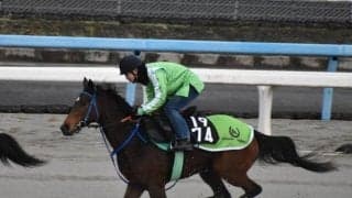 プロティオスミノルなど、先週のゲート試験/栗東トレセンニュース