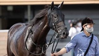 【阪神JF予想オッズ】3戦3勝のウォーターナビレラが予想1番人気