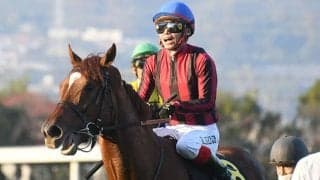 【中日新聞杯予想オッズ】3歳馬ラーゴムが予想1番人気