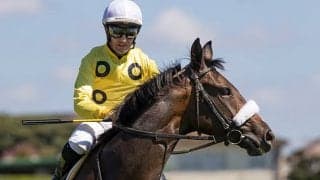 【阪神JF展望】2歳女王決定戦、あの馬の戴冠を期待したい