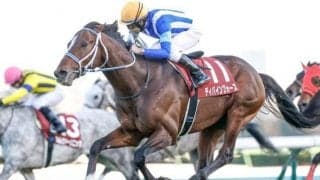 【次走】ディバインフォースはサウジアラビアのレースに登録