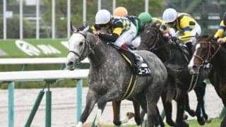 【次走】ステイヤーズS5着のゴーストはダイヤモンドSへ