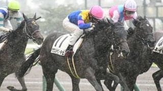 【次走】阪神JF登録のサウンドビバーチェは回避　来年の菜の花賞を視野