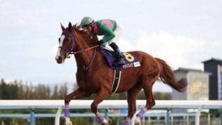 【次走】ケイティブレイブは根岸SからフェブラリーSへ