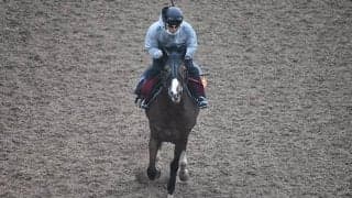 【阪神JF「見逃せない調教師」ベスト3】阪神芝1600mではベタ買いプラス。今週もこの調教師に御注目！