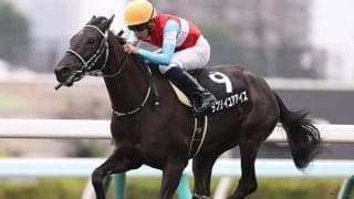 【AI予想】オッズ次第では魅力的な存在に　阪神JFでAIが選んだ注目馬を分析