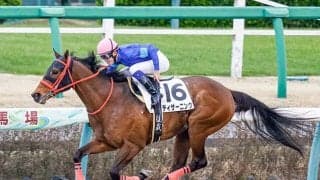 【カペラS「見逃せない調教師」ベスト3】たくさん走って馬券的に儲かる「見逃せない調教師」とは？