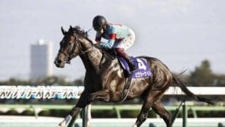 【香港スプリント】ピクシーナイトなど出走日本馬3頭の近況(8日)