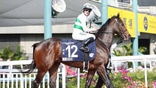 キセキは「奇跡」ではなく「神業」　香港“漢字馬名”のカラクリとは？