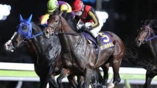 【大井・勝島王冠結果】コズミックフォースが差し切って3連勝で重賞初制覇