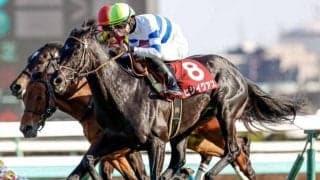 【香港カップ】ヒシイグアスなど出走日本馬3頭の近況(8日)