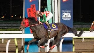 サブノジュニアが12月9日のレースで引退