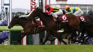ノーワンが競走馬登録抹消
