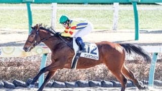 【カペラS展望】波乱傾向のダートスプリント戦、好走の条件とは