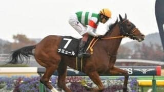 阪神JFはハービンジャー産駒の「当たり世代」に期待。対抗となりそうなのは？