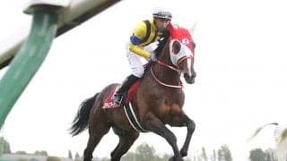 【香港ヴァーズ】グローリーヴェイズ、ステイフーリッシュ　日本馬の近況(8日)