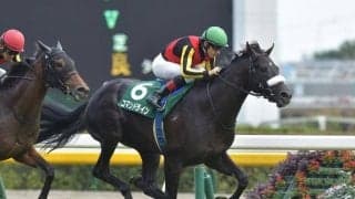 【ホープフルS想定】サウジアラビアRC覇者コマンドライン、デビュー2連勝のオニャンコポンなど