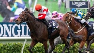 【香港スプリント枠順】ダノンスマッシュは10番枠、ピクシーナイトは8番枠