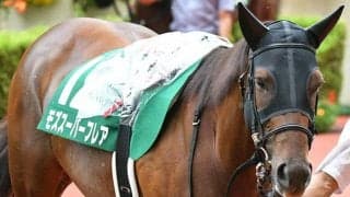 【カペラS出走馬・騎手確定】モズスーパーフレア＆松若風馬騎手、リュウノユキナ＆石橋脩騎手など16頭