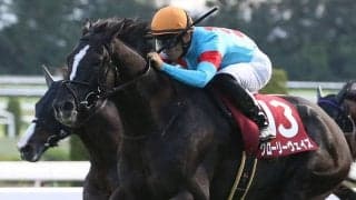 【香港ヴァーズ】出馬表確定