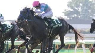 今年は「荒れる」順番。阪神JFは過去の激走例から導いた３頭が吉を呼ぶ