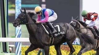 【阪神JF枠順確定】ウォーターナビレラは7枠13番、ステルナティーアは4枠8番