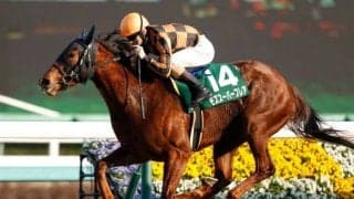 【カペラS枠順確定】モズスーパーフレアは大外8枠16番、リュウノユキナは1枠1番