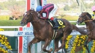 【中日新聞杯枠順確定】ラーゴムは7枠14番、アドマイヤビルゴは2枠3番