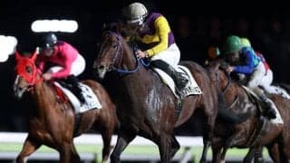 【大井・ビオラ賞結果】2番人気ハルディネロが勝利し、ラストランのサブノジュニアは6着