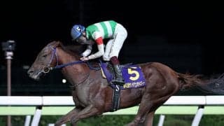 【地方競馬】大井のトロヴァオが引退　ハイセイコー記念など重賞4勝