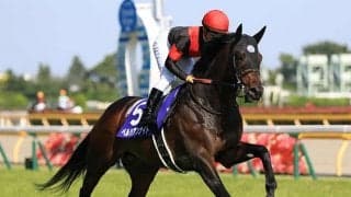 【次走】ペルシアンナイトは有馬記念へ　前走チャレンジC3着