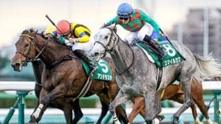 【ターコイズS想定】府中牝馬S上位のアンドラステ・マルターズディオサ・ドナアトラエンテなど22頭