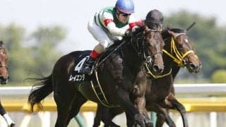 【中日新聞杯予想】前走「凡走馬」の巻き返し必至!? 激走を見極める条件とは…