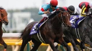 【香港国際競走】福永祐一騎手がインディチャンプに騎乗、C.スミヨン騎手がレイパパレに騎乗など(10日の近況)