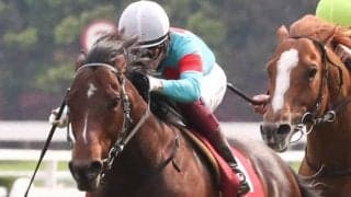 【2021香港国際競走】日本馬の近況（12月10日）