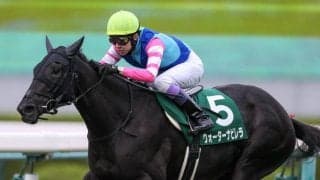 【阪神JF】ウォーターナビレラは7枠13番