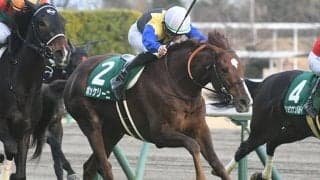 【本日の注目ポイント】中京でハンデ重賞・中日新聞杯