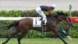 阪神JFは波乱要素がふんだん。穴党記者は抽選突破の伏兵２頭を推す