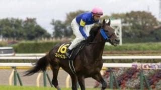 【中日新聞杯予想】逃げ馬不在のメンバー構成で注目すべき1頭は!?