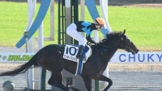 【中京5R新馬戦結果】シニスターミニスター産駒ナッカーフェイスが4馬身差圧勝