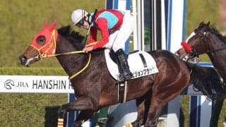 【阪神7R新馬戦結果】8番人気ピジョンブラッドが離れた最後方から一気に突き抜けてV