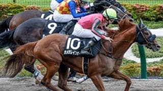 【カペラS予想】勝ち馬傾向から「○○」重視！ 馬体重の有無もポイントか