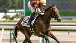 【阪神JF予想】上位人気必至の「あの馬」に危険信号!? 2歳GIは「経験」が物を言うのか